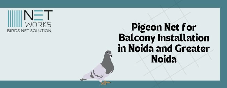 Pigeon Net for Balcony Installation in Noida and Greater Noida